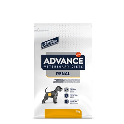 Advance les reins rénaux de chien vétérinaire