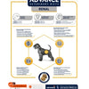 Advance les reins rénaux de chien vétérinaire