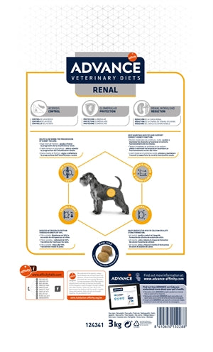 Advance les reins rénaux de chien vétérinaire