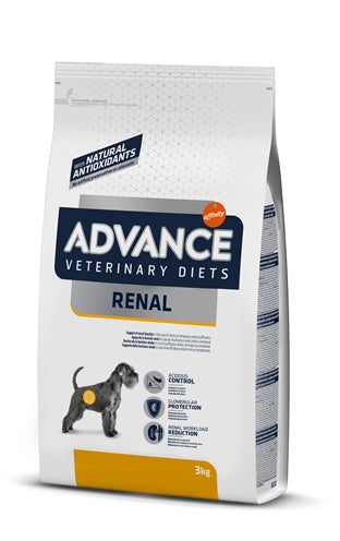 Advance les reins rénaux de chien vétérinaire