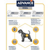 Advance les reins rénaux de chien vétérinaire