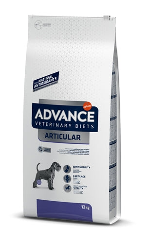 Advance des articulations articulaires de chien vétérinaire