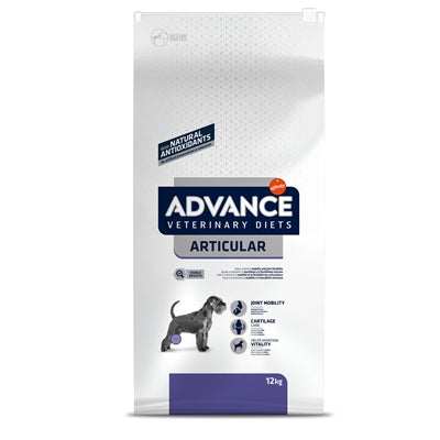 Advance des articulations articulaires de chien vétérinaire