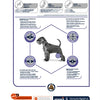 Advance des articulations articulaires de chien vétérinaire
