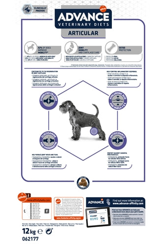 Advance des articulations articulaires de chien vétérinaire