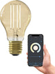 Lampe intelligente Calex - éclairage à filament LED wifi - e27 - ampoule intelligente or - dimmable - lumière blanc chaud - 7w