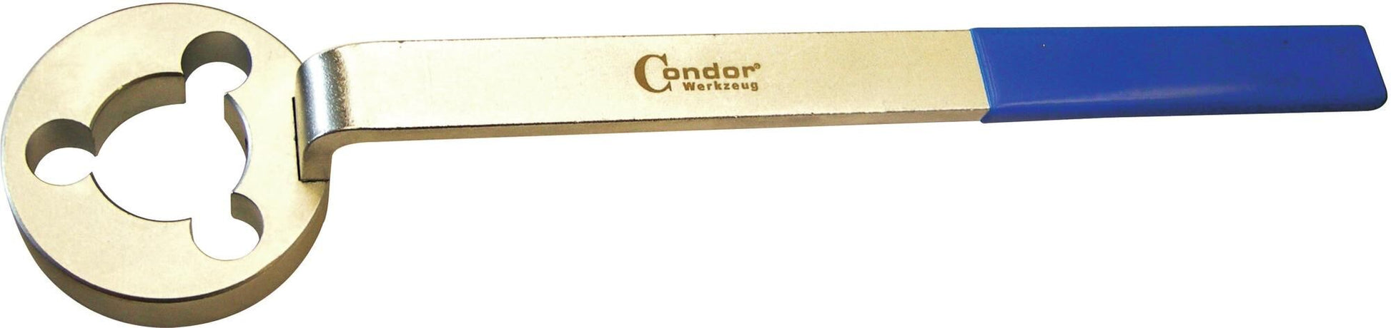 Condor tenant un vague clé