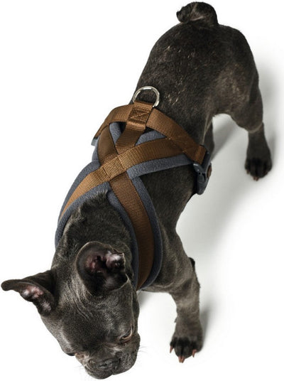 Harnais pour chien Hunter London confort 48-56 cm marron taille s m