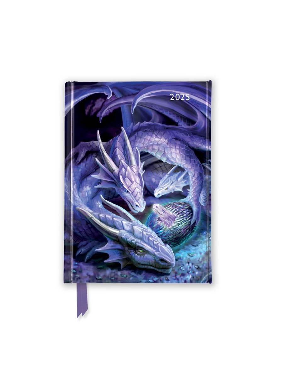 Anne Stokes : Welcome Hatchling 2025 Agenda de poche de luxe – Semaine à consulter