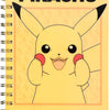 Carnet d'infiltration pikachu