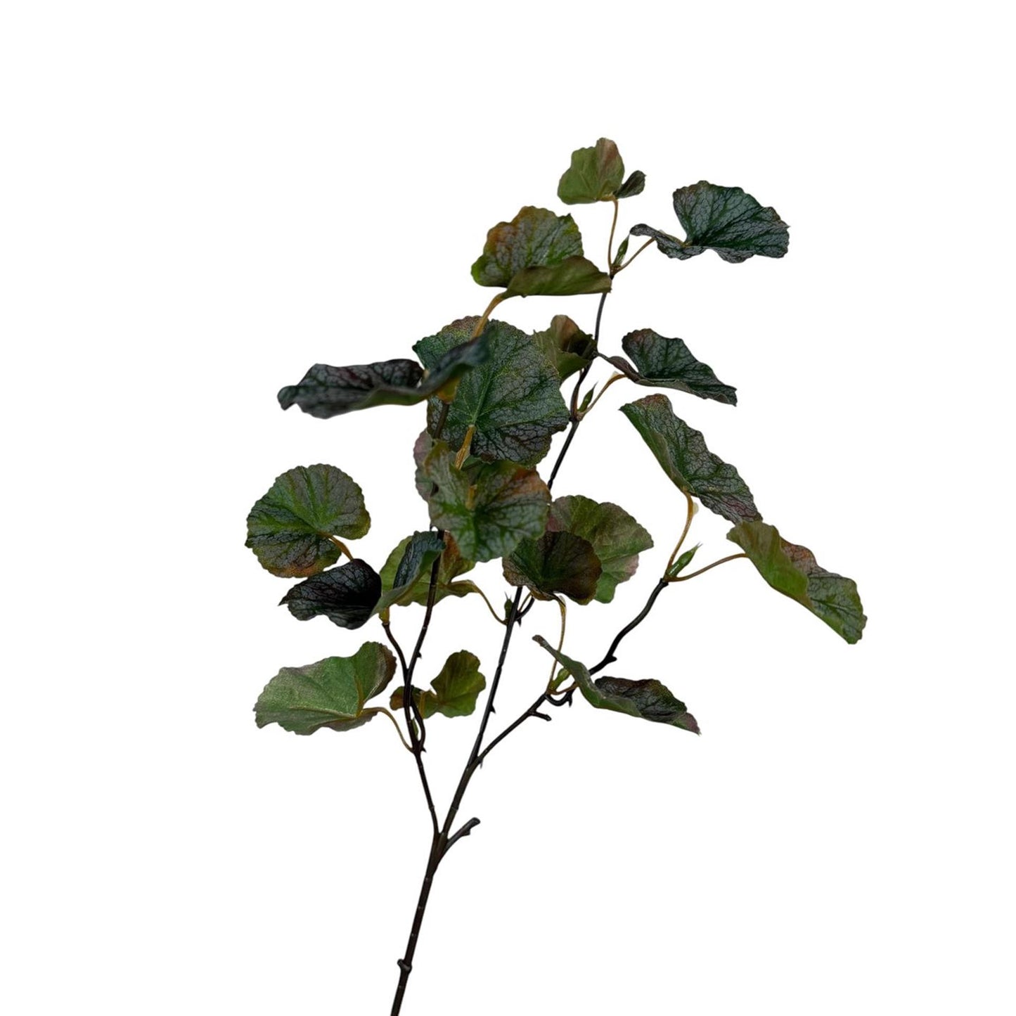 Roberts collection branche artificielle feuille de garanium café gris 55cm