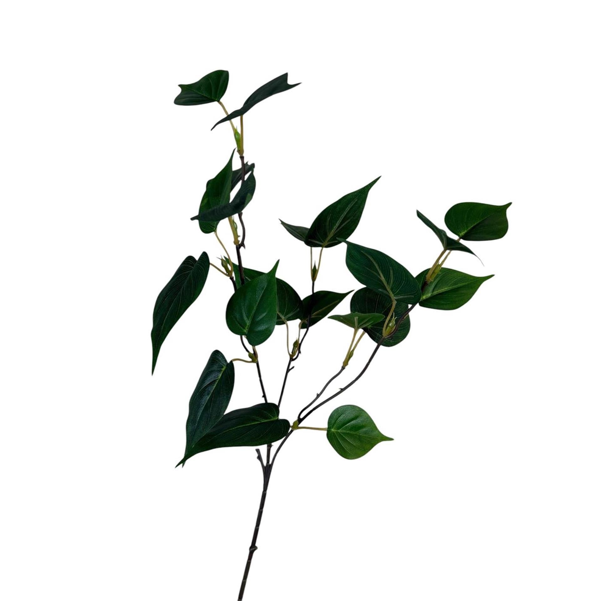 Roberts collection branche artificielle feuille de sgindapsus vert 55cm