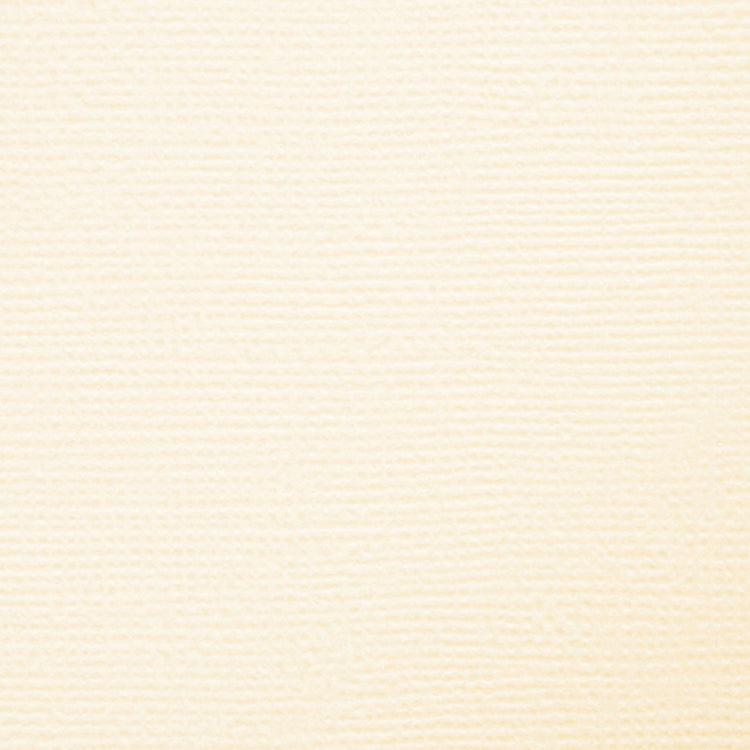 Craft perfect par Tonic Studios Craft Perfect • carte classique a4 10pcs blanc ivoire