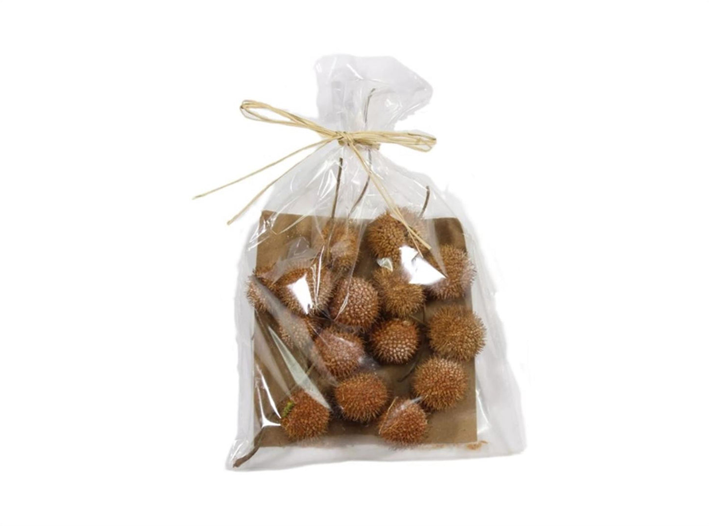 HBx ensemble de décoration vivante naturelle fruit de platane 50gr