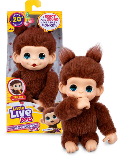Petits animaux vivants mon bébé mini singe brun cherri | 3 pièces