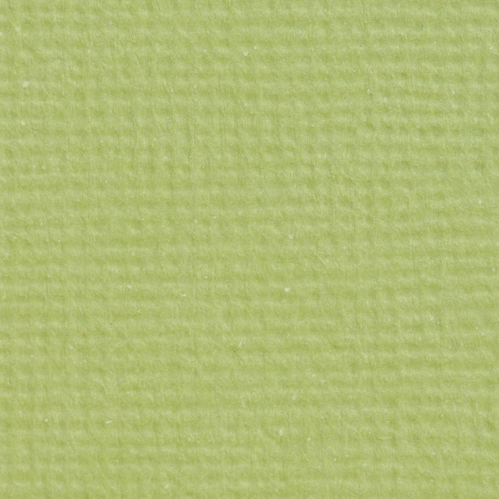 Craft perfect par Tonic Studios Craft Perfect • carte classique a4 10pcs vert pistache