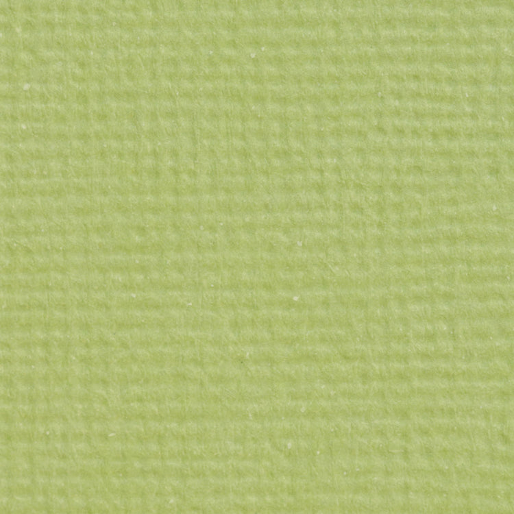 Craft perfect par Tonic Studios Craft Perfect • carte classique a4 10pcs vert pistache
