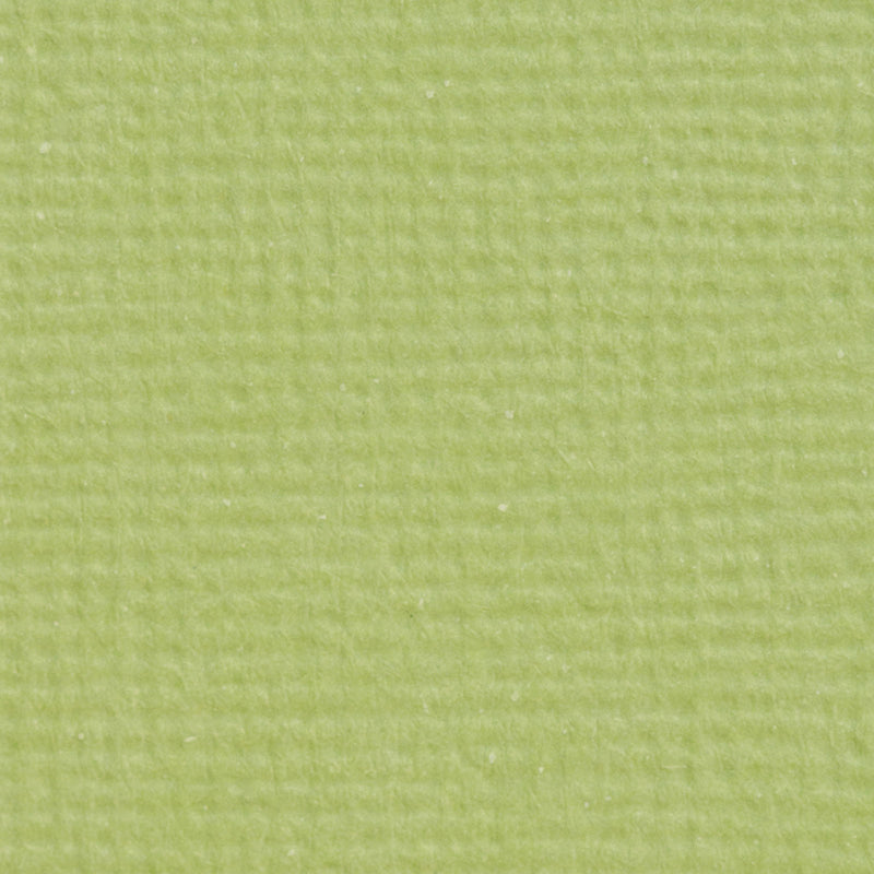 Craft perfect par Tonic Studios Craft Perfect • carte classique a4 10pcs vert pistache