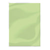 Craft perfect par Tonic Studios Craft Perfect • carte classique a4 10pcs vert pistache