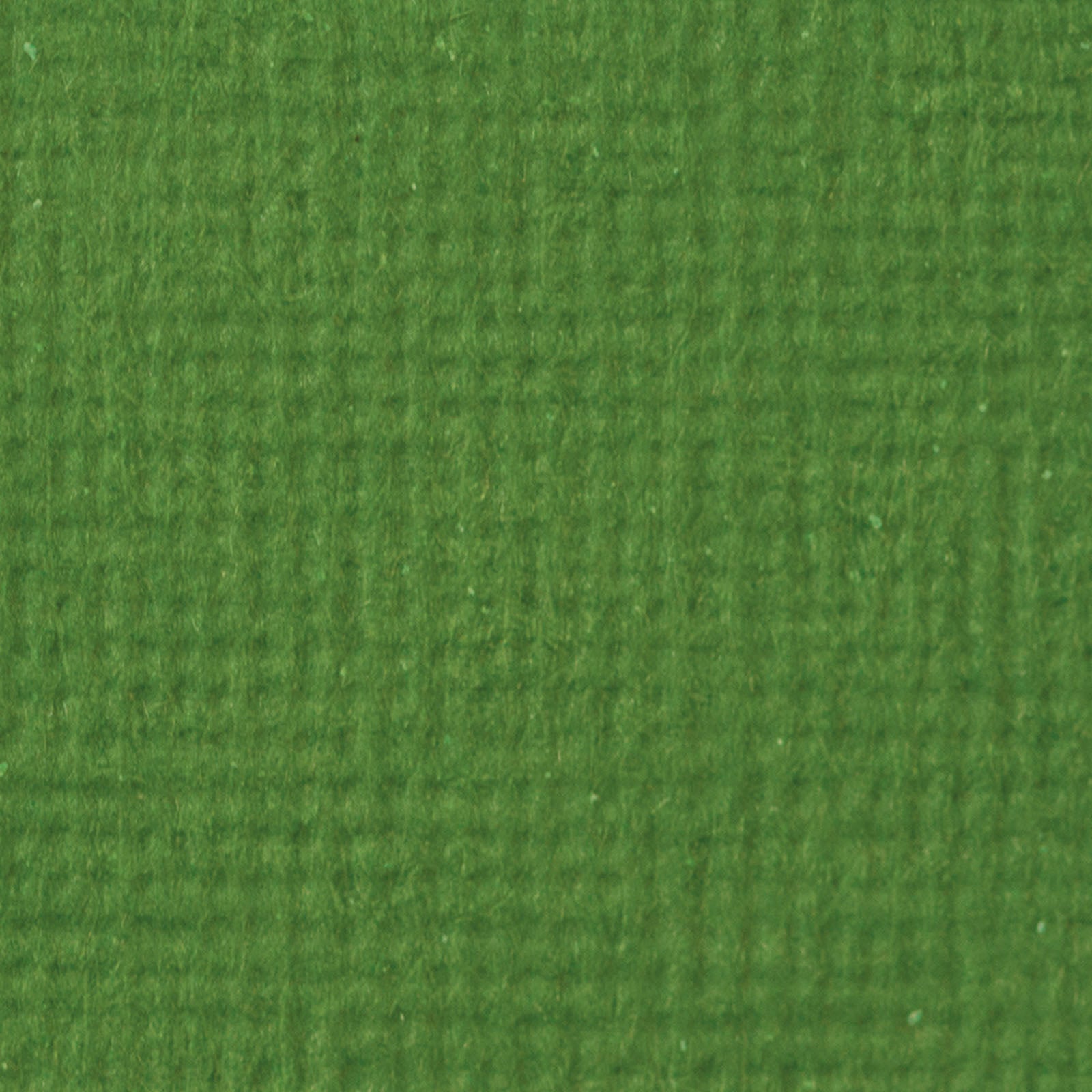 Craft Perfect par Tonic Studios Craft Perfect • carte classique A4 10 feuilles vert fougère