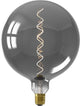 Calex Kalmar XXL Titanium - Lampe LED E27 - source lumineuse à filament dimmable - 5W - lumière blanc chaud
