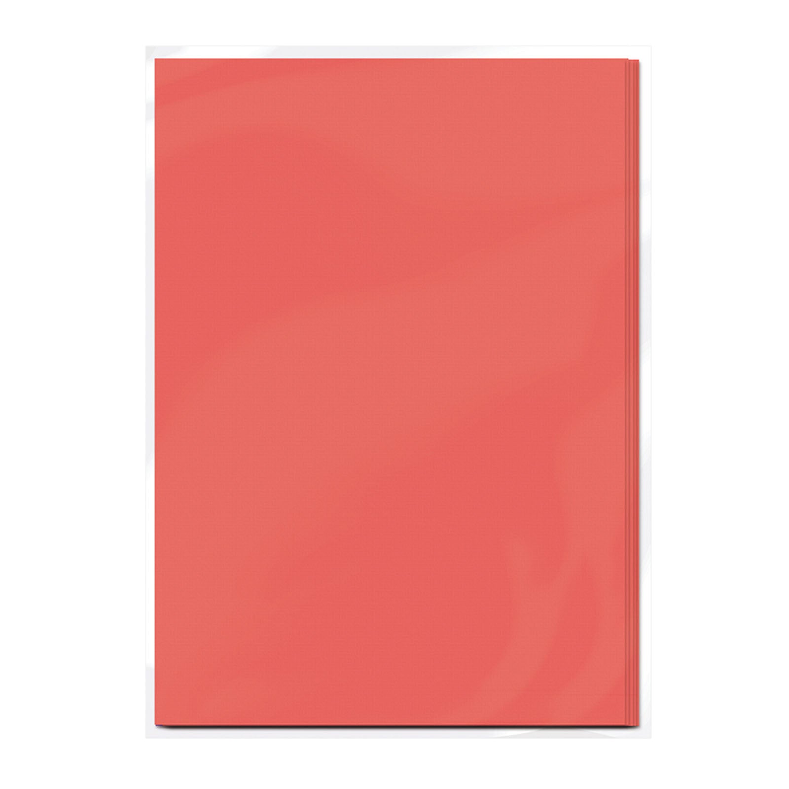 Craft perfect par Tonic Studios Craft Perfect • carte classique a4 10 feuilles rose corail