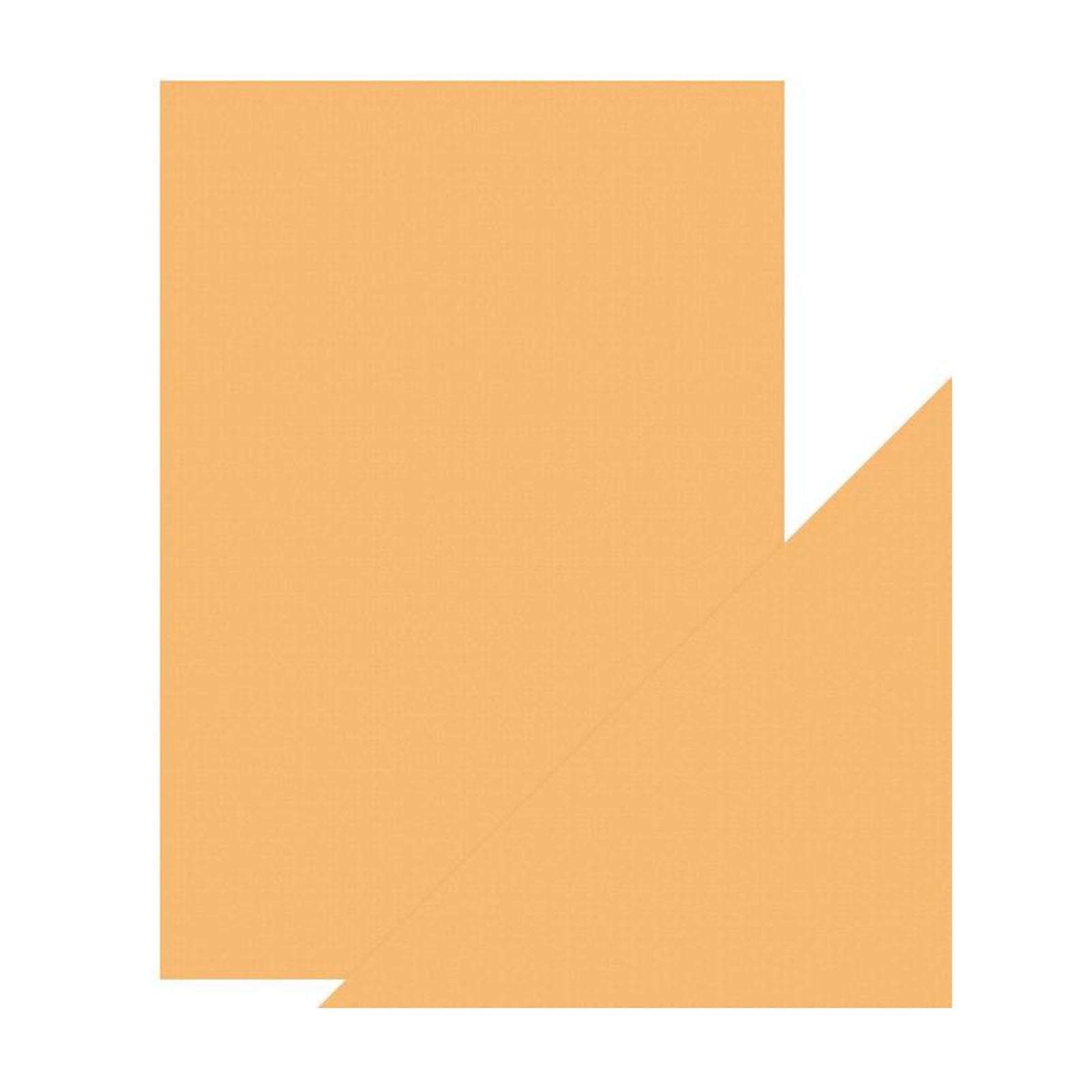 Craft perfect par Tonic Studios Craft Perfect • carte classique a4 10pcs orange abricot