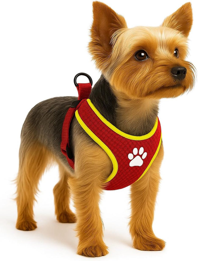 Harnais pour chien Flamingo - harnais pour chien - harnais pour chien anti-traction - harnais pour chien - harnais pour chien anti-traction - step go tasha - rouge - taille xs - a:45cm b:45-50cm x 12mm x 5mm