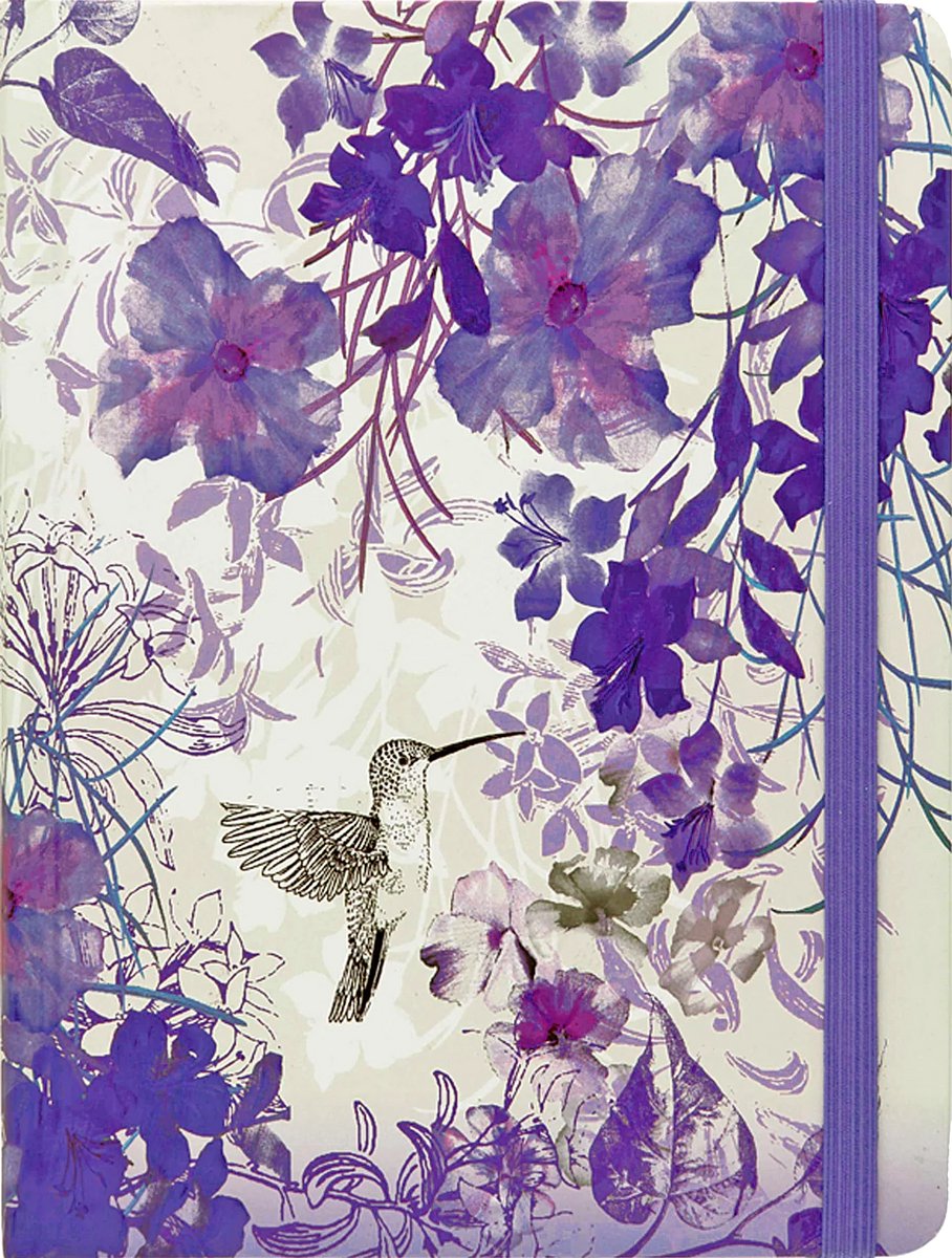 Carnet Peter Pauper taille moyenne - colibri - avec fermeture élastique - 16x21 cm