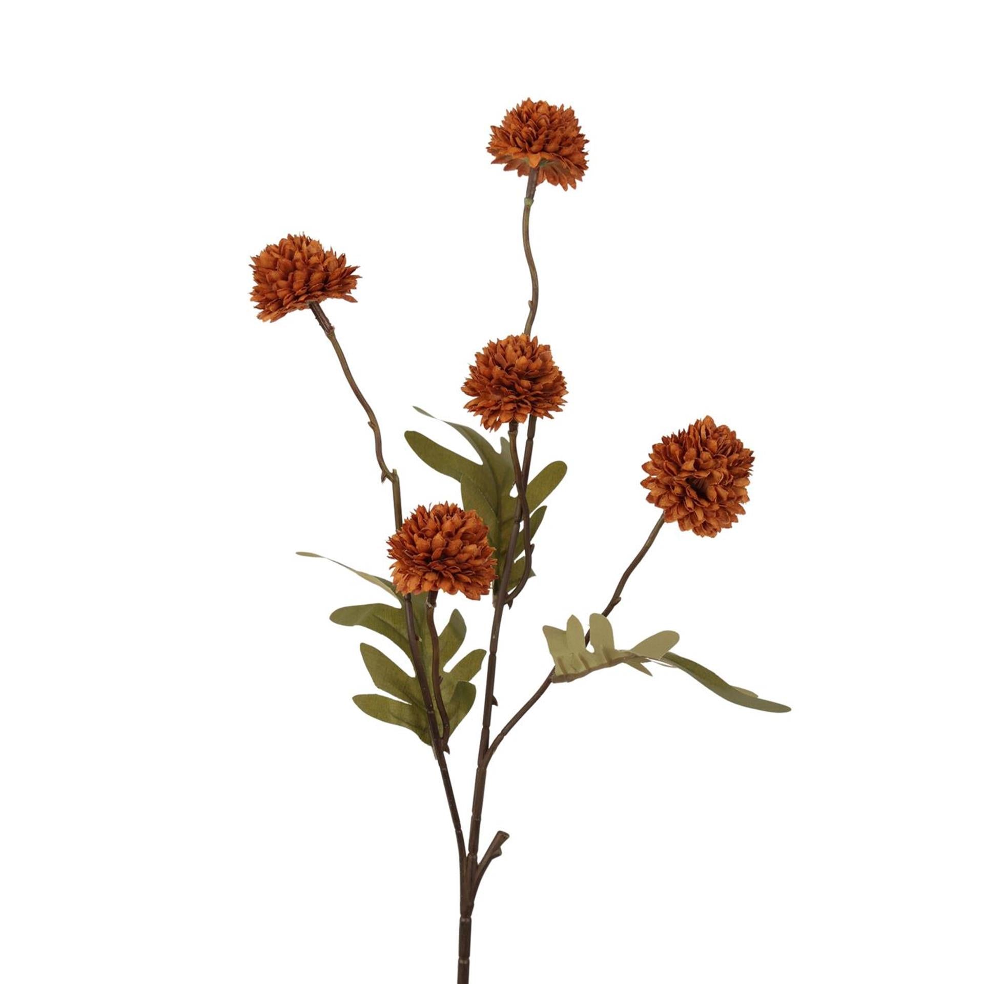 Branche pompon collection Roberts 52cm café clair