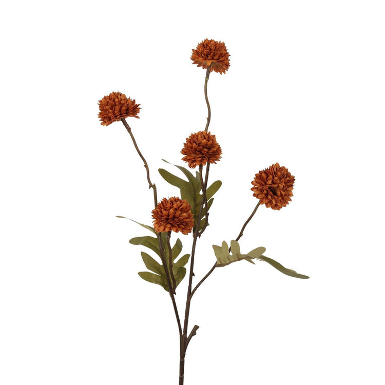 Branche pompon collection Roberts 52cm café clair