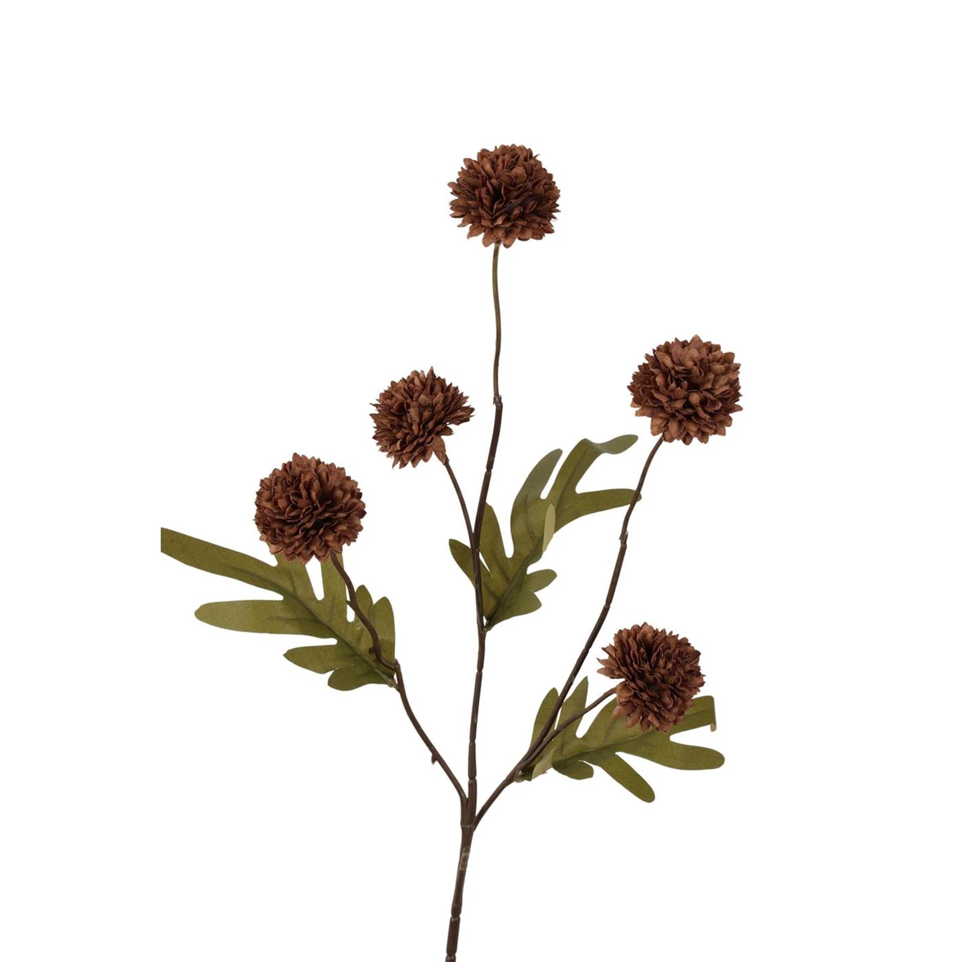 Branche pompon collection Roberts 52cm café foncé