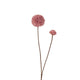 Roberts collection pompon fleur artificielle 66cm vieux rose