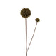 Roberts collection pompon fleur artificielle 66cm vert foncé