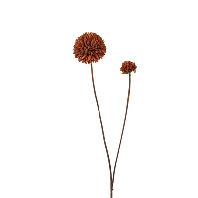 Roberts collection pompon fleur artificielle 66cm café clair