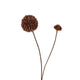 Roberts collection pompon fleur artificielle 66cm café foncé