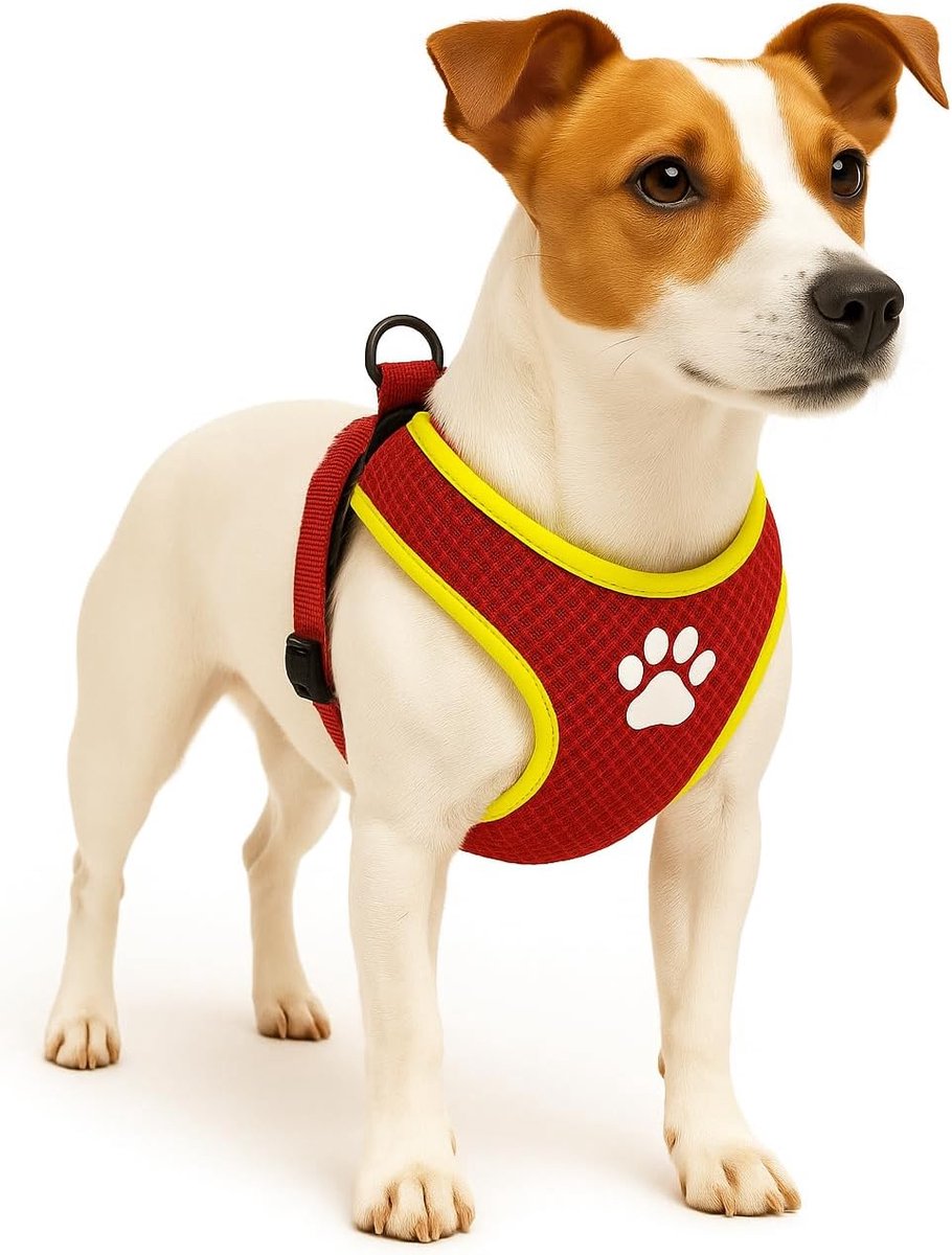 Harnais pour chien Flamingo - harnais pour chien - harnais pour chien anti-traction - harnais pour chien - harnais pour chien anti-traction - step go tasha - rouge - taille s - a:46cm b:55-65cm x 12mm x 5mm