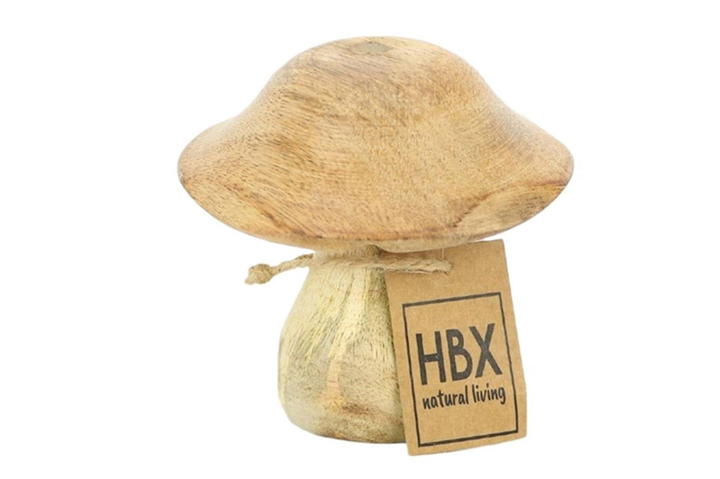 Bois de manguier champignon vivant naturel HBx