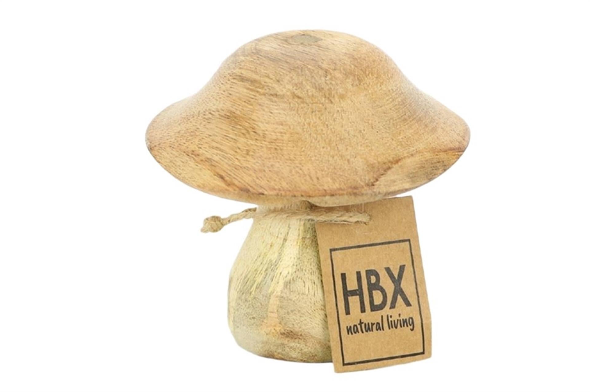 Bois de manguier champignon vivant naturel HBx