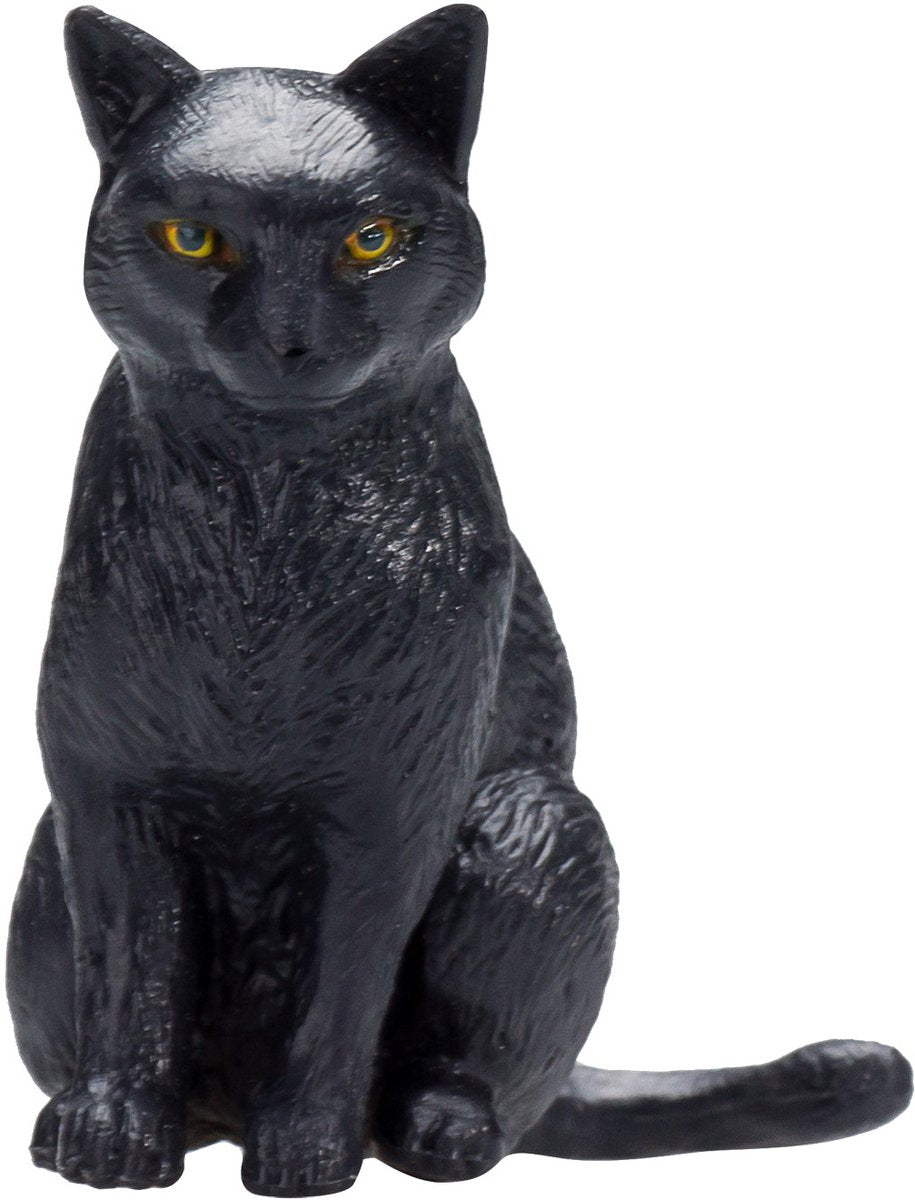 MOJO FARMERS ASSIS CAT NOIR 387372
