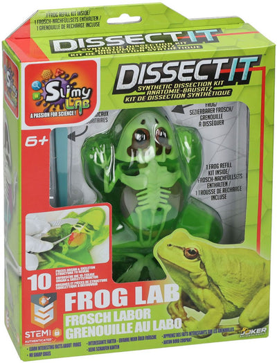 Un laboratoire visqueux dissèque, il dissèque une grenouille