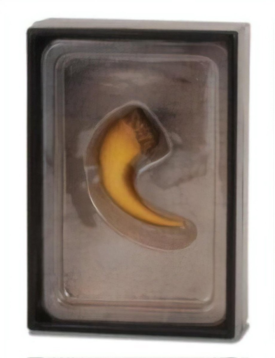 Coffret figurine Collecta - griffe de baryonyx