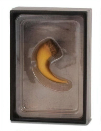 Coffret figurine Collecta - griffe de baryonyx