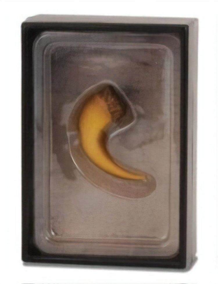 Coffret figurine Collecta - griffe de baryonyx