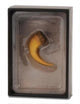 Coffret figurine Collecta - griffe de baryonyx