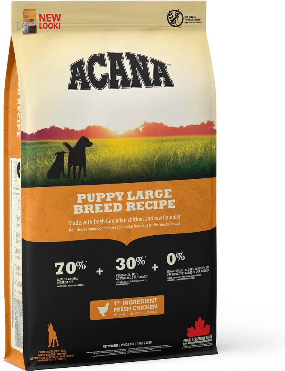 Chiot de chien acana grand large
