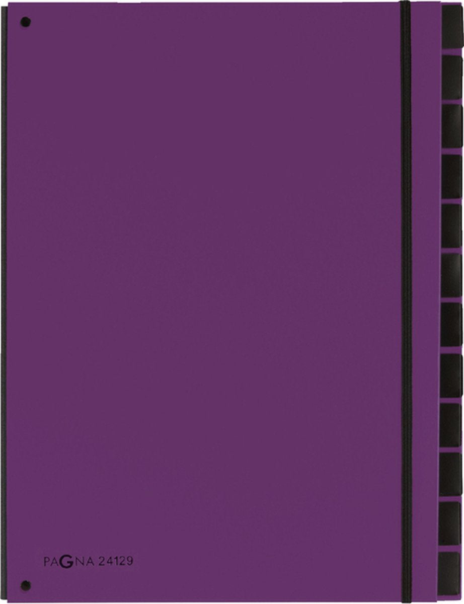 Chemise de tri Pagna tendance 12 onglets a4 lilas