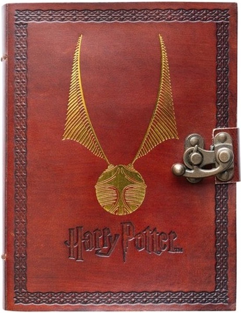 Carnet a5 en cuir Grupo Erik Harry Potter