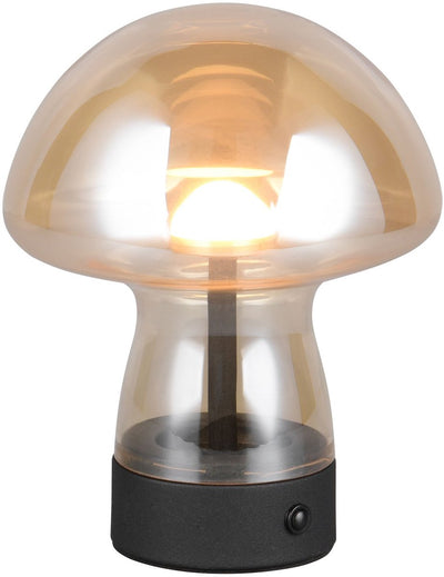 Rl vis ta lumière réalité dooley - lampe de table - ambre - incl. 1x SMD 1,5 W - Touch 4 étapes - Connexion USB - rechargeable - sans fil