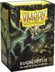 Bouclier dragon Dragonshield - eucalyptus mat à double manches 100x